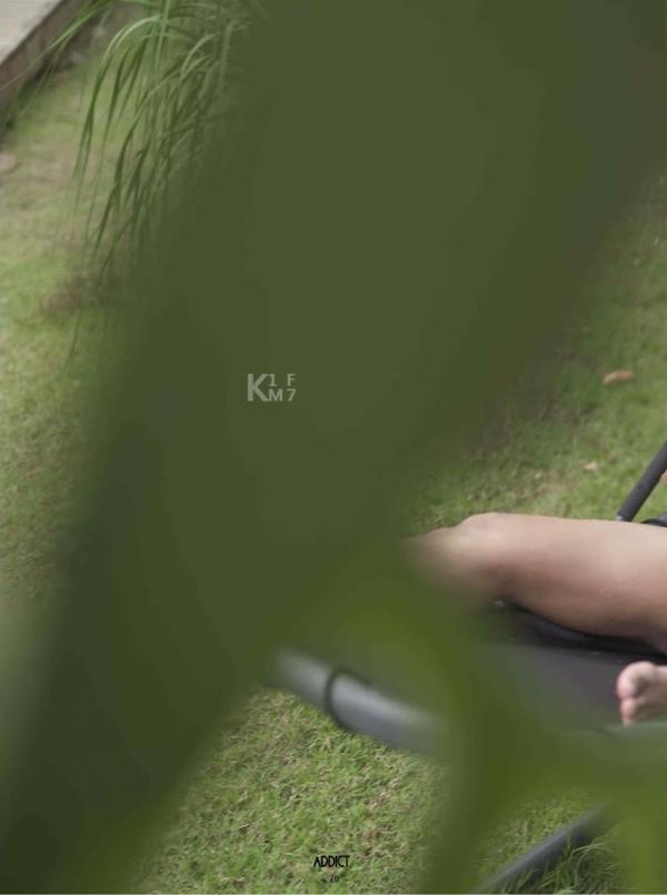 Addict--The-Premium-Issue